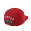 Neue Mode Neue Stickerei Logo 95 % Baumwolle 5 % Spandex Snapback Hut Rote Farbe Snapback Hut